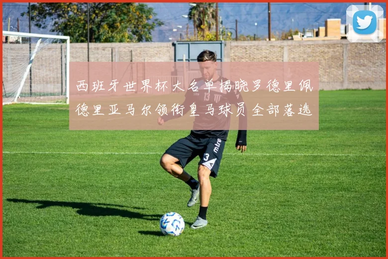 西班牙世界杯大名单揭晓罗德里佩德里亚马尔领衔皇马球员全部落选